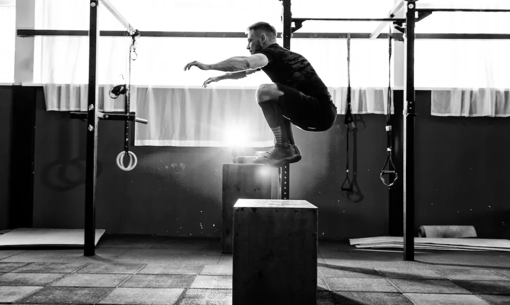 Box Jumps: Strength and Power for Cricket