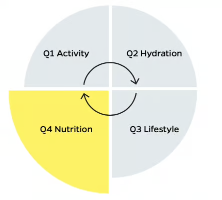 Nutrition for Cricketers: Cricket Matters Process