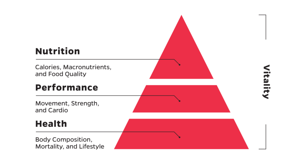 Cricket Performance Pyramid | Pyramid of Health