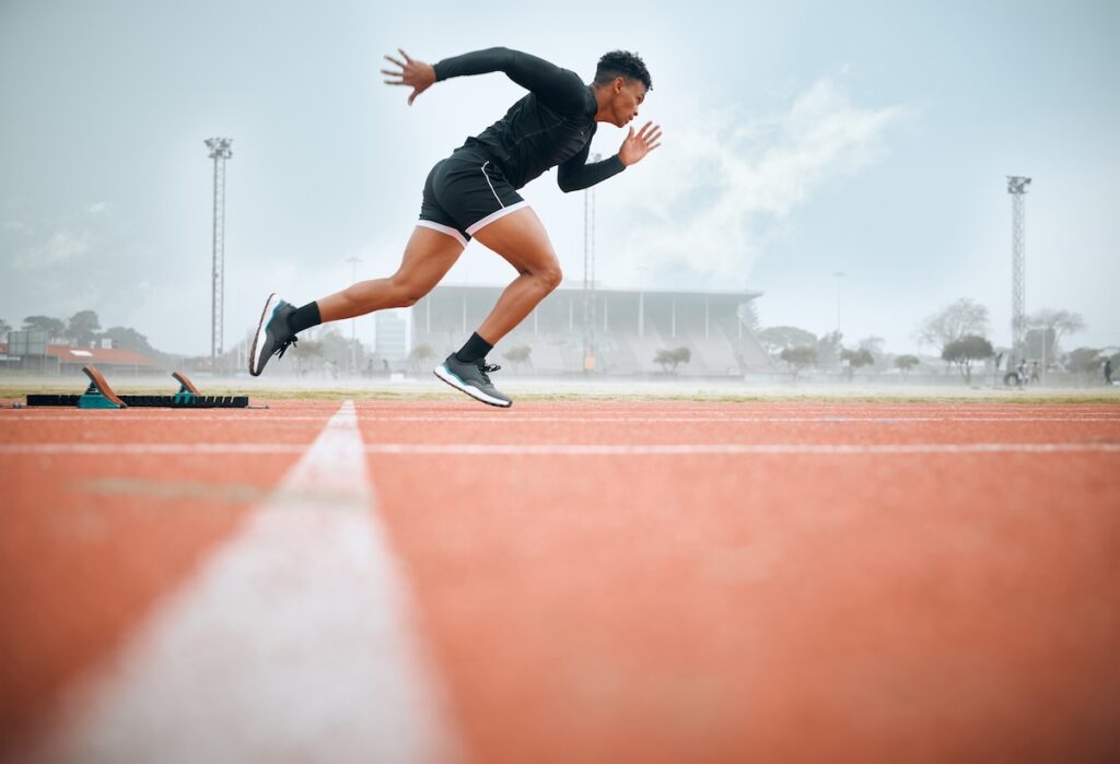 Cricketer Performance System: Athleticism Cricketer Performance System: Athleticism