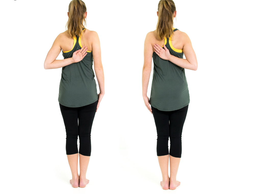 SFMA Upper Extremity