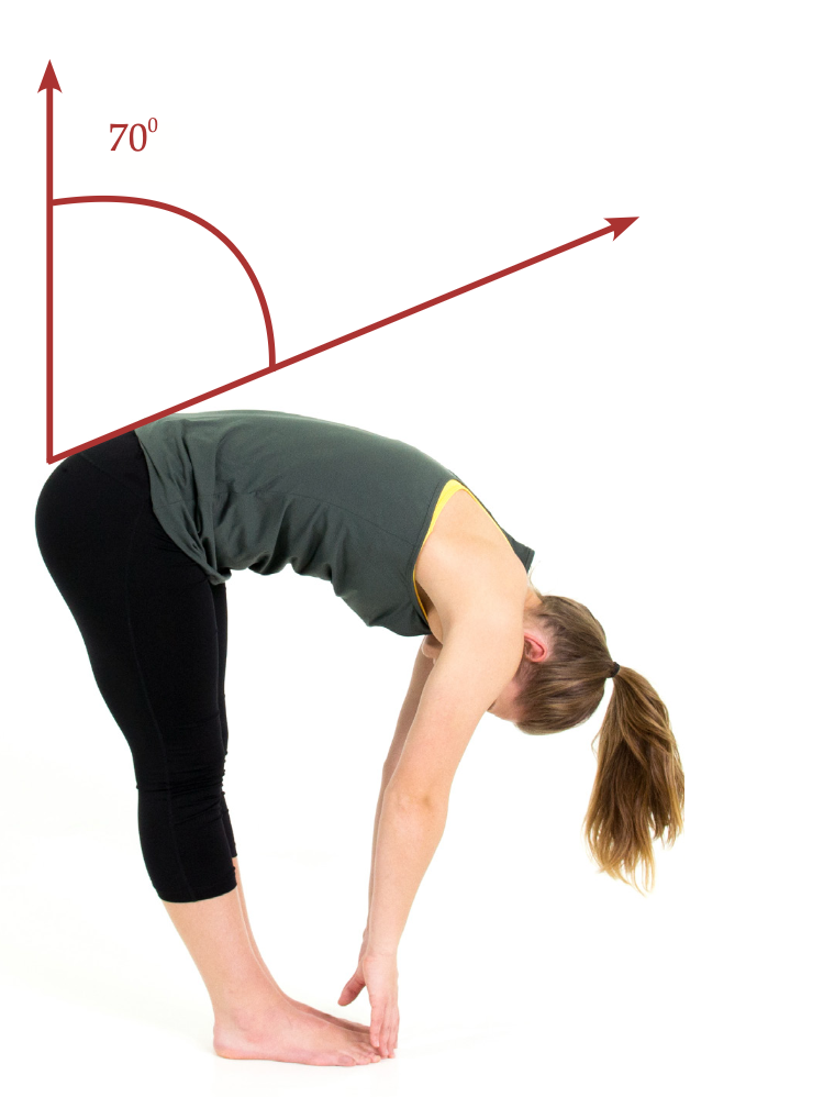 SFMA Multi Segmental