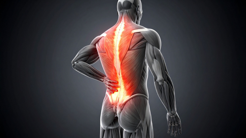 Why Cricketers Get Back Pain (and How to Fix It for Good)