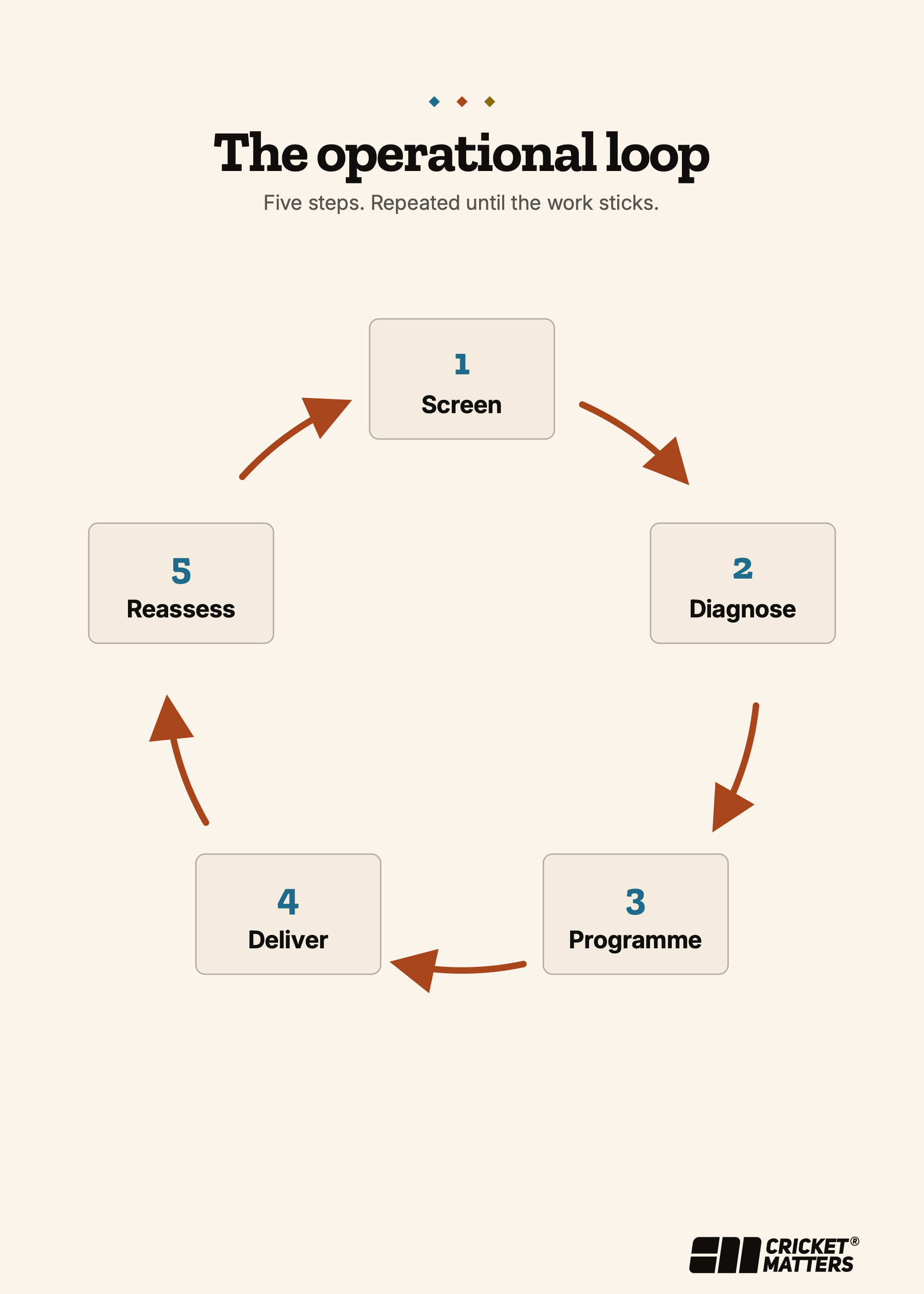 The Cricket Matters Operational Loop diagram — Screen, Diagnose, Programme, Deliver, Reassess — the five-step sequence repeated until the work sticks.