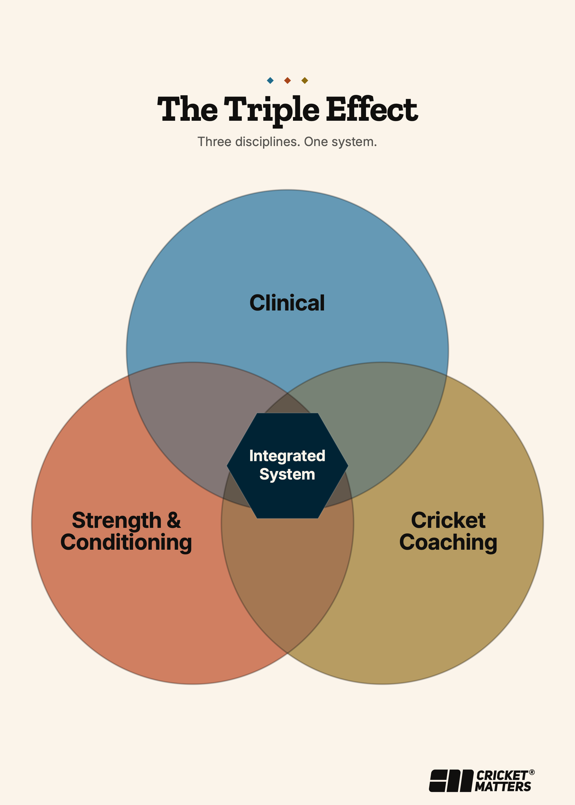 The Cricket Matters Triple Effect diagram — Sports & Clinical Therapist, Strength & Conditioning Specialist, and ECB Cricket Coach held by one practitioner in integrated practice.